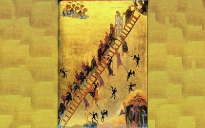 The Seed of Glory: Catholic Teaching on Theology of Grace Pt. 2.5 – Theosis